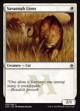 spoiler-m25-savannah-lions