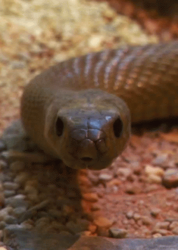 200114i.gif