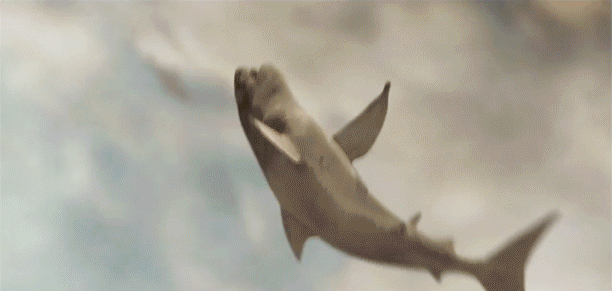 200407k.gif