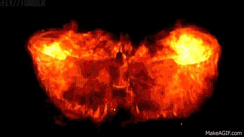 200407q.gif