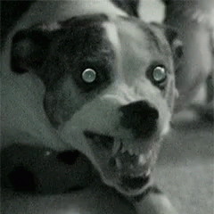 200416e.gif