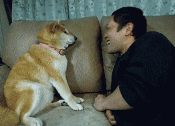 200416i.gif