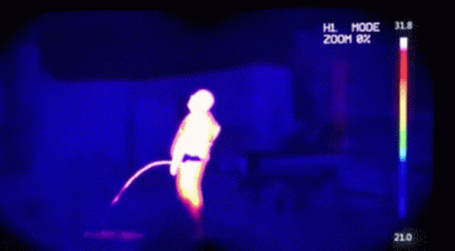 200611j.gif