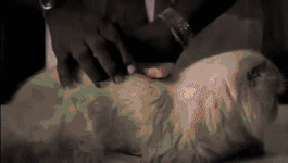 200616ao.gif