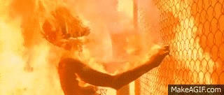 200908aa.gif
