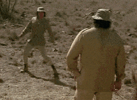 210113c.gif