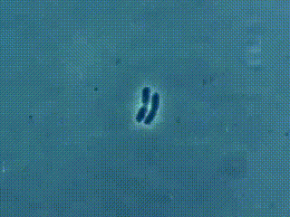 260614k