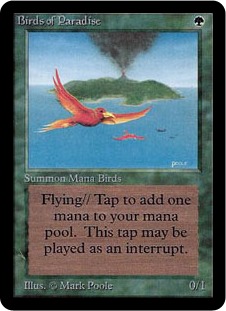 card-birds-of-paradise-alpha