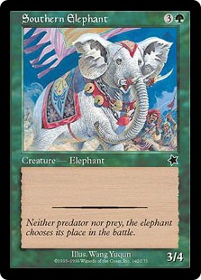 southern_elephant