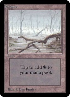 swamp
