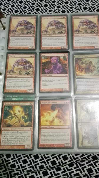 coleccion