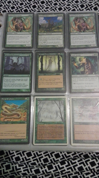 coleccion