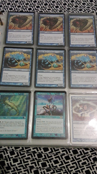 coleccion