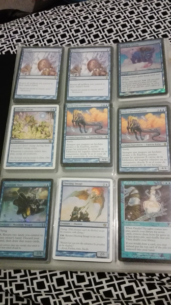 coleccion