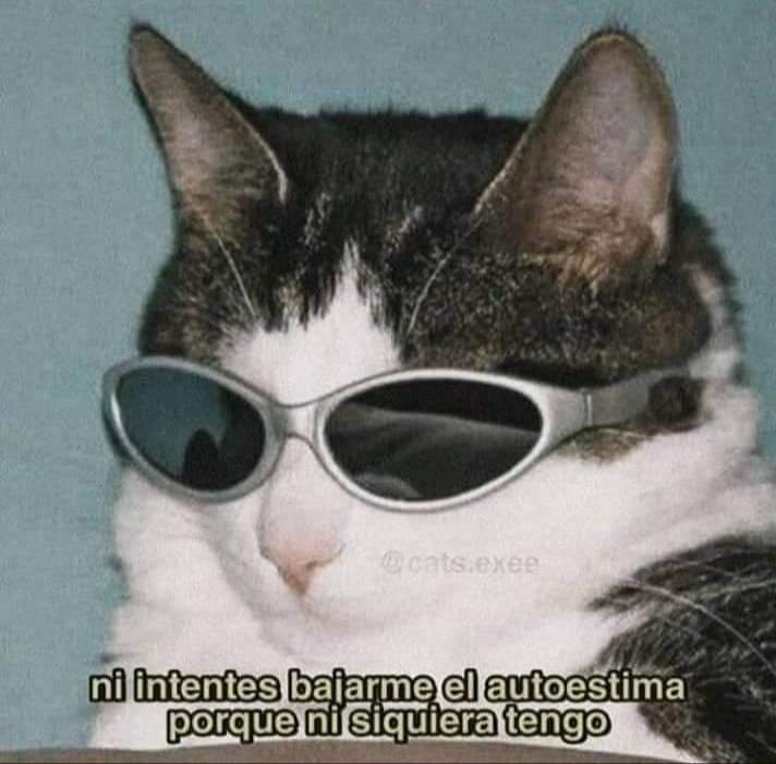 econ200624m