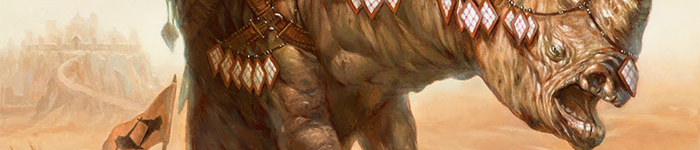 siege rhino banner