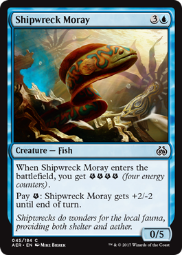 spoiler-aer-shipwreck-moray