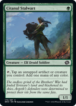 spoiler-bro-citanul-stalwart