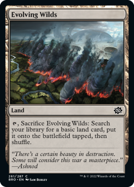 spoiler-bro-evolving-wilds
