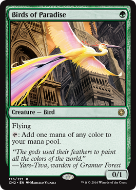 spoiler-cn2-birds-paradise