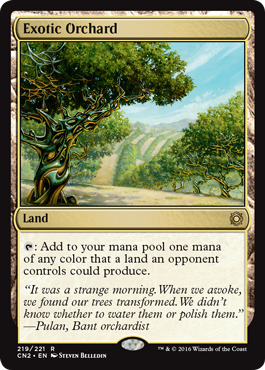 spoiler-cn2-exotic-orchard