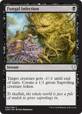 spoiler-dom-fungal-infection