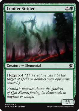 spoiler-dtk-conifer-strider