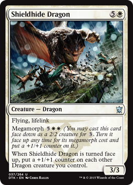 spoiler-dtk-shieldhide-dragon