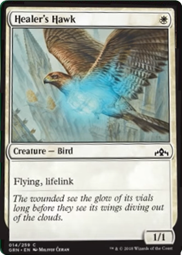 spoiler-grn-healers-hawk