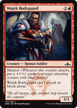 spoiler-grn-wojek-bodyguard