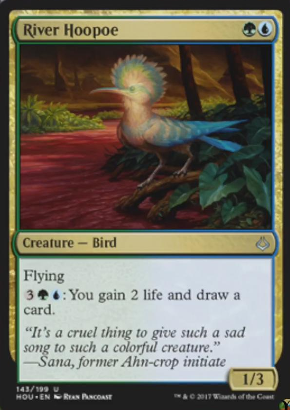 spoiler-hou-river-hoopoe