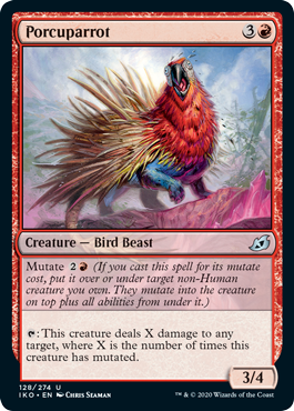 spoiler-iko-porcuparrot