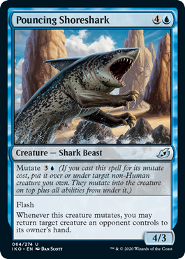 spoiler-iko-pouncing-shoreshark