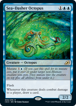 spoiler-iko-sea-dasher-octopus