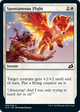 spoiler-iko-spontaneous-flight