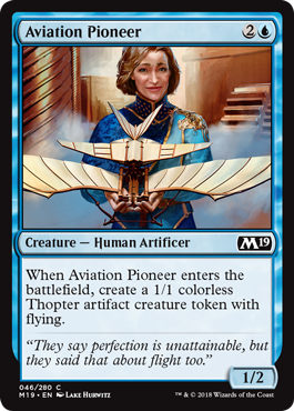 spoiler-m19-aviation-pioneer