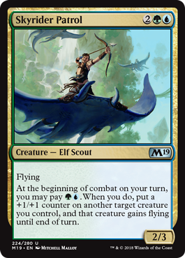 spoiler-m19-skyrider-patrol