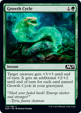 spoiler-m20-growth-cycle