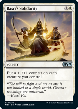 spoiler-m21-basris-solidarity