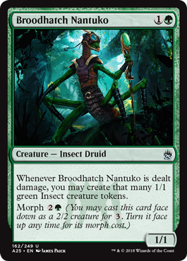 spoiler-m25-broodhatch-nantuko