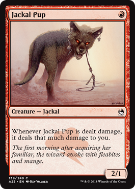 spoiler-m25-jackal-pup