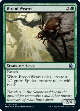 spoiler-mid-brood-weaver