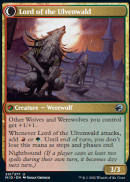 spoiler-mid-lord-the-ulvenwald