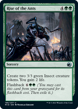 spoiler-mid-rise-ants