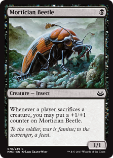 spoiler-mm3-mortician-beetle