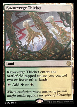 spoiler-one-razorverge-thicket