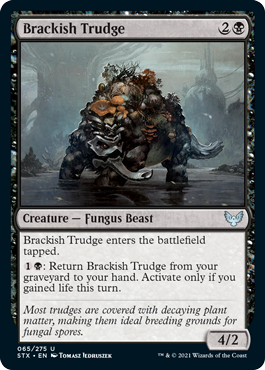 spoiler-stx-brackish-trudge