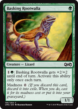 spoiler-uma-basking-rootwalla