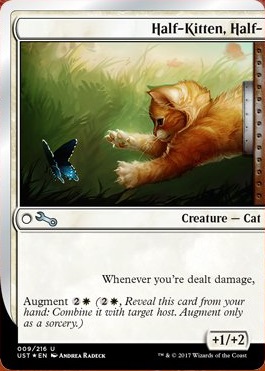 spoiler-un3-half-kitten-half-