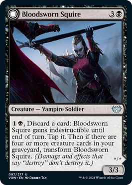 spoiler-vow-bloodsworn-squire